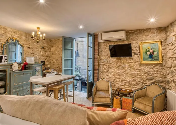 Old Side One Apartment Girona